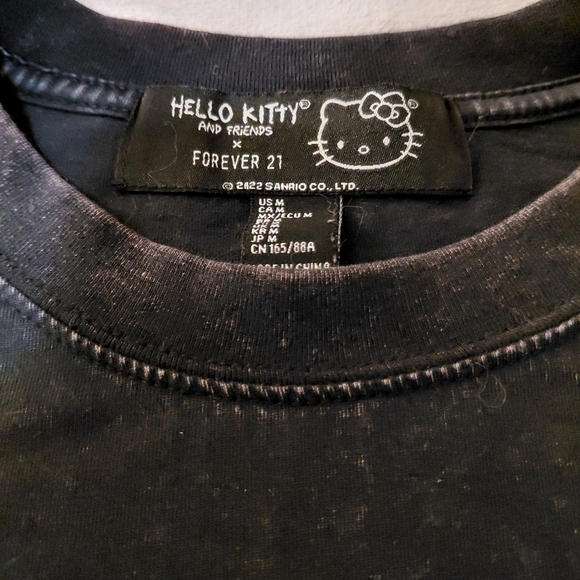 Little Twin Stars X Hello Kitty Forever 21  Gray Long Sleeve T-Shirt Size Medium - Picture 6 of 8